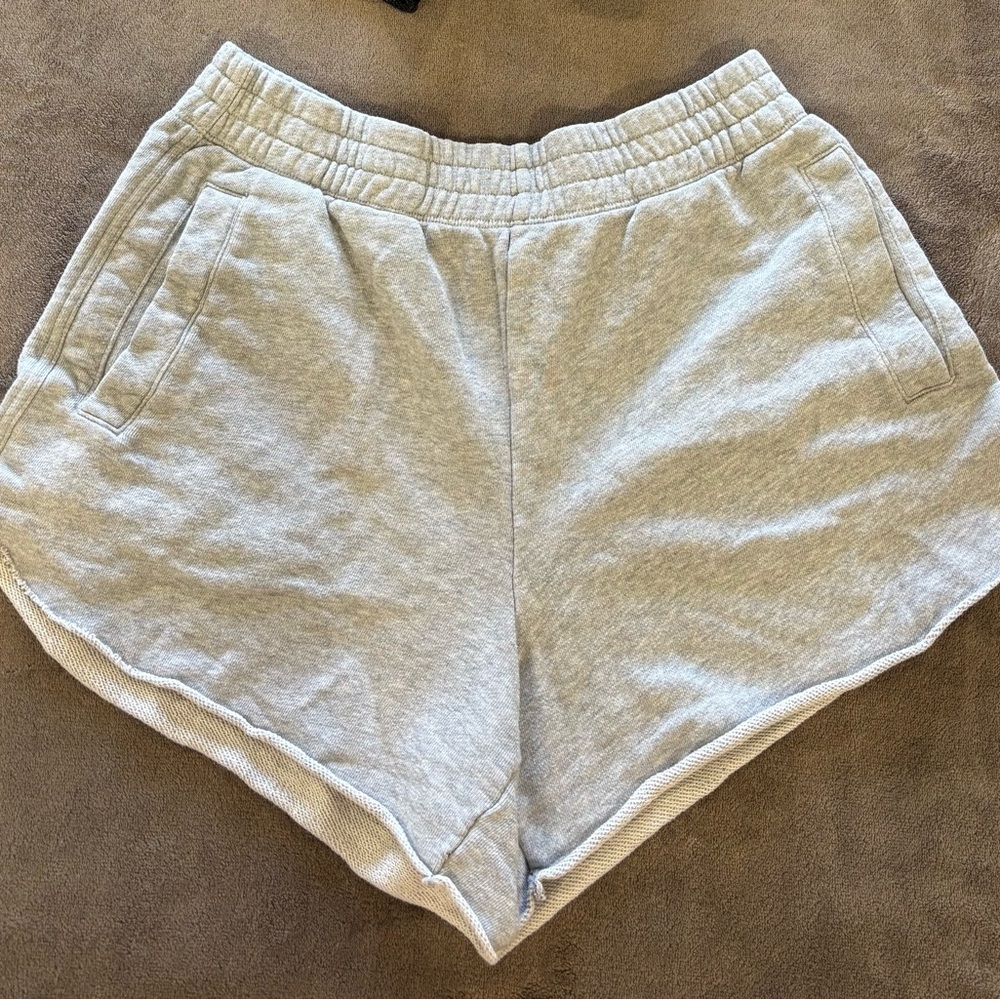 Gray Aerie Shorts